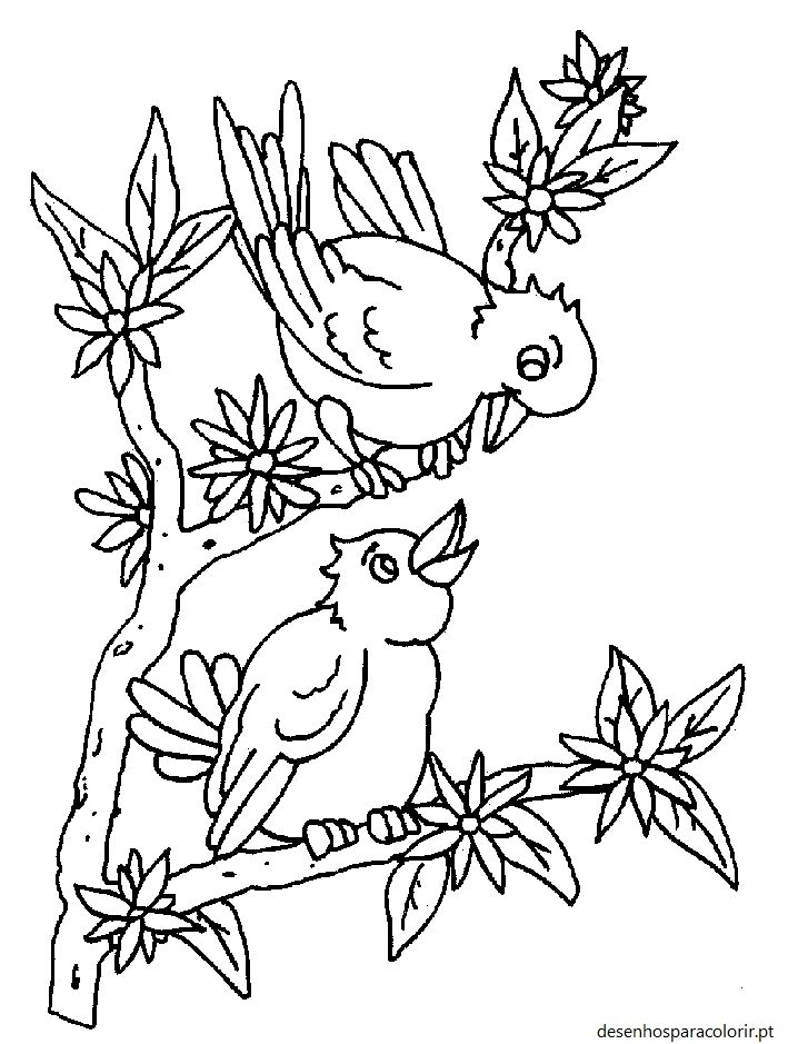 Desenhos de pássaros 35